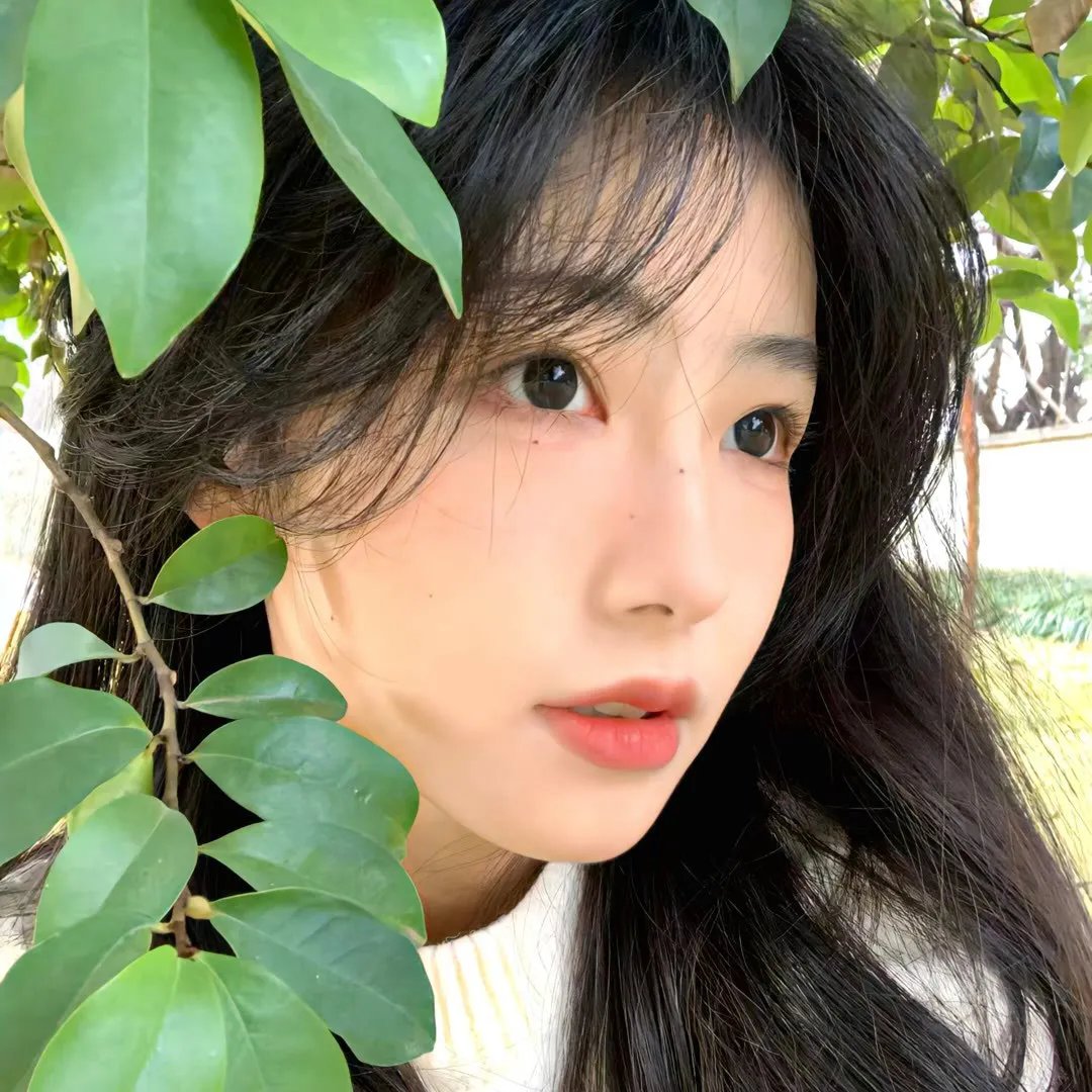 北越归来