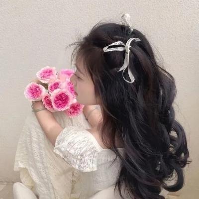安妮·法兰克的最后七个月
