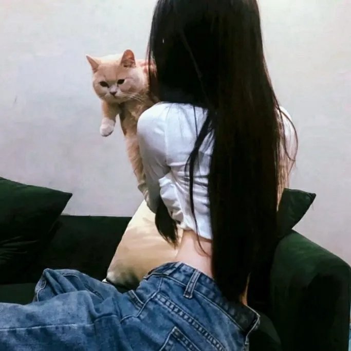 老虎